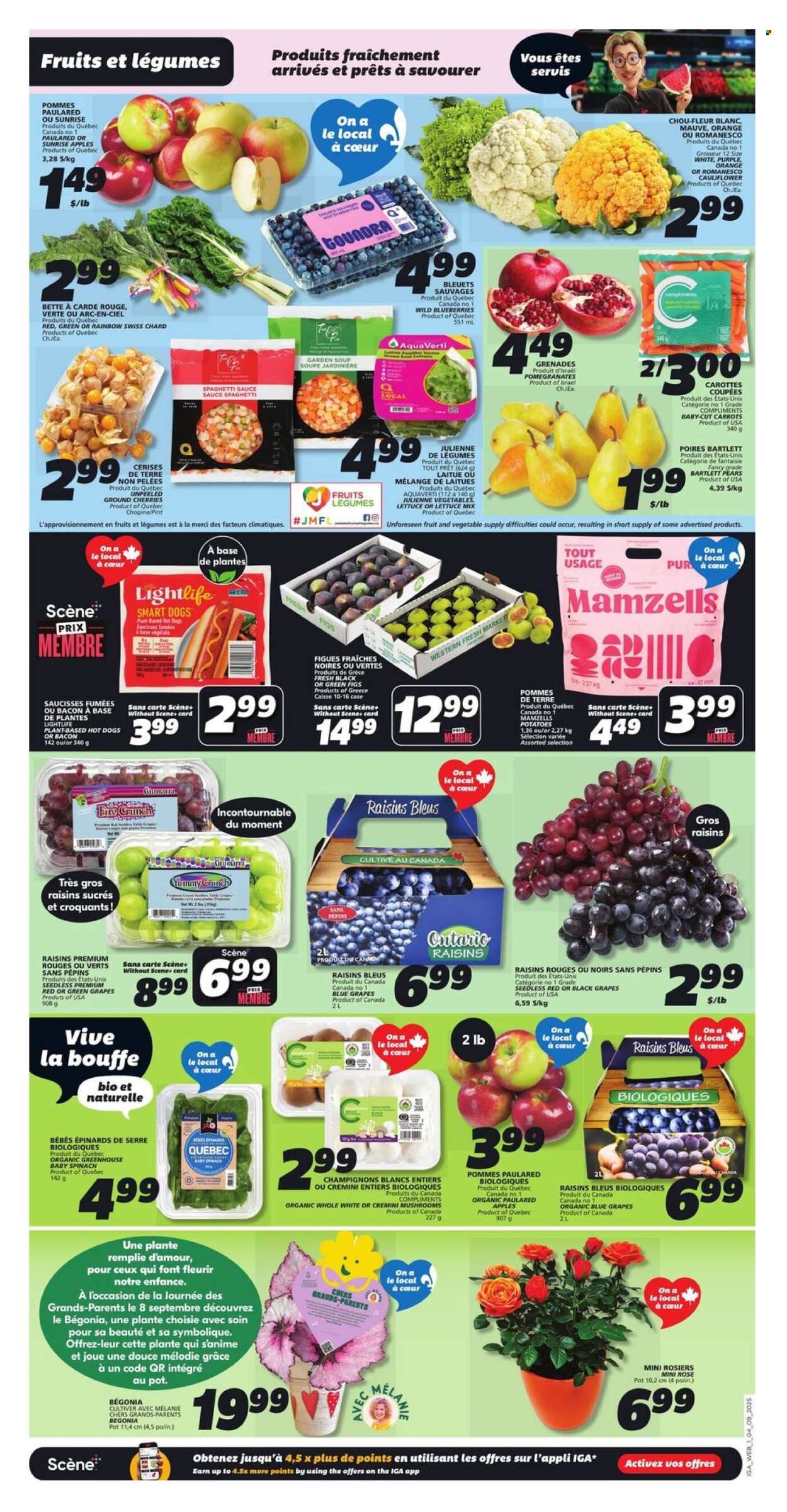 IGA flyer - Weekly eFlyer