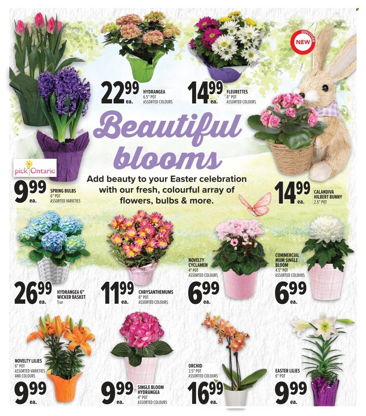 METRO flyer - Weekly Flyer (2026-03-26 - 2026-04-01) | 7