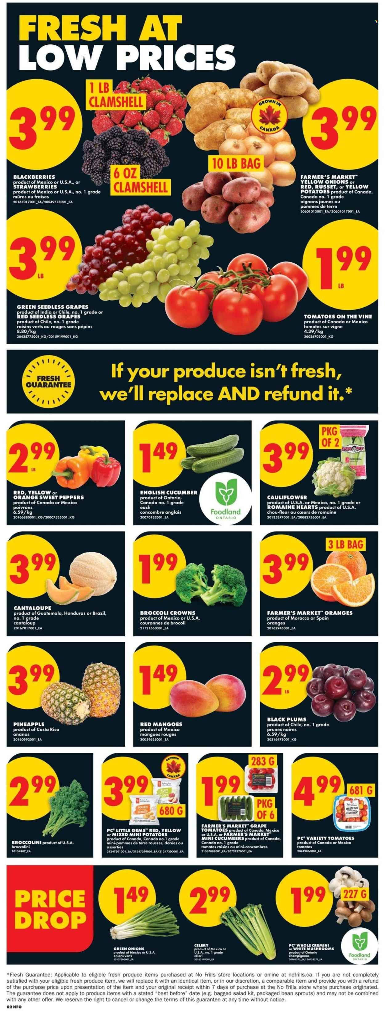 NO FRILLS flyer - Weekly Flyer (2026-04-09 - 2026-04-15) | 3