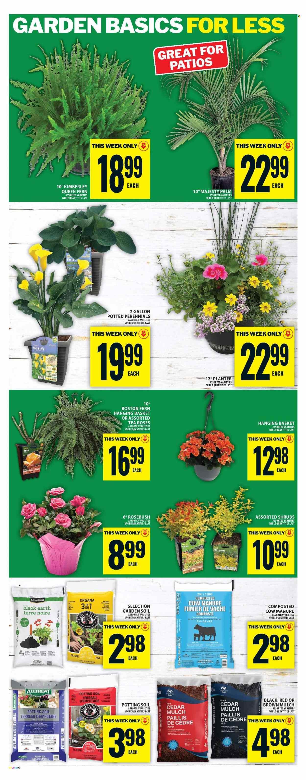 FOOD BASICS flyer - Weekly Flyer
