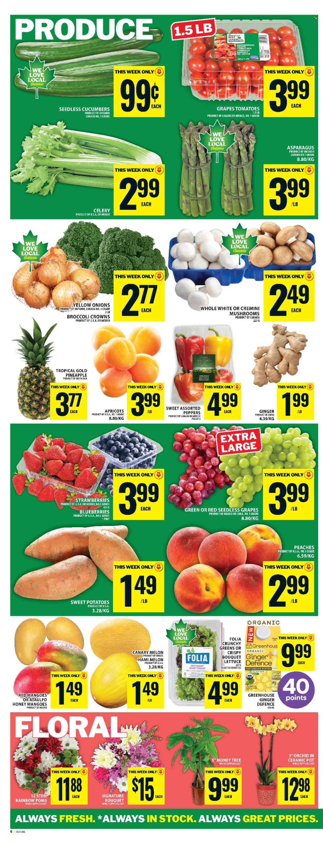 FOOD BASICS flyer - Weekly Flyer