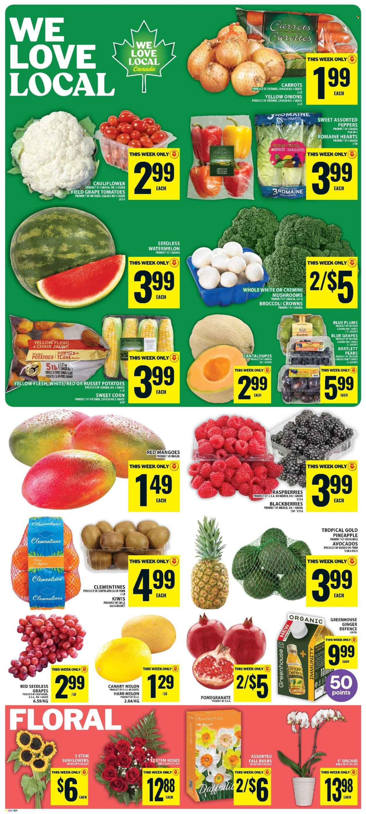 FOOD BASICS flyer - Weekly Flyer