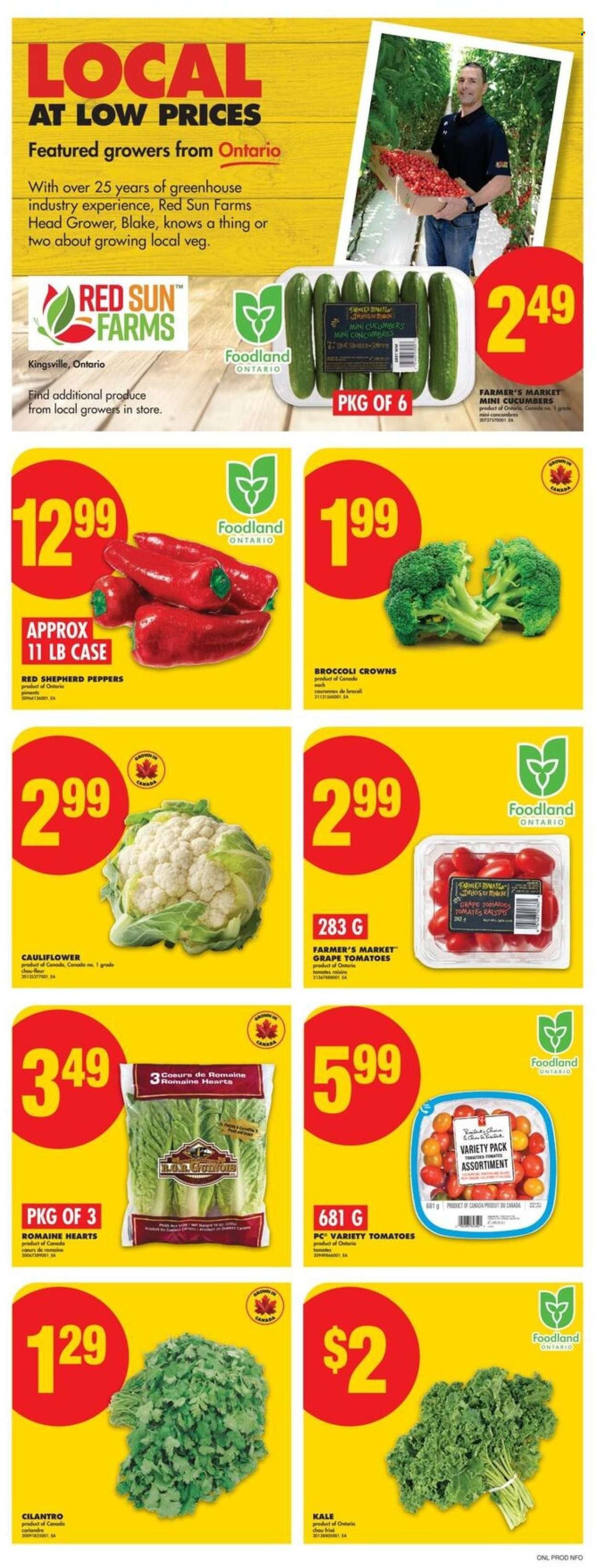 NO FRILLS flyer - Weekly Flyer
