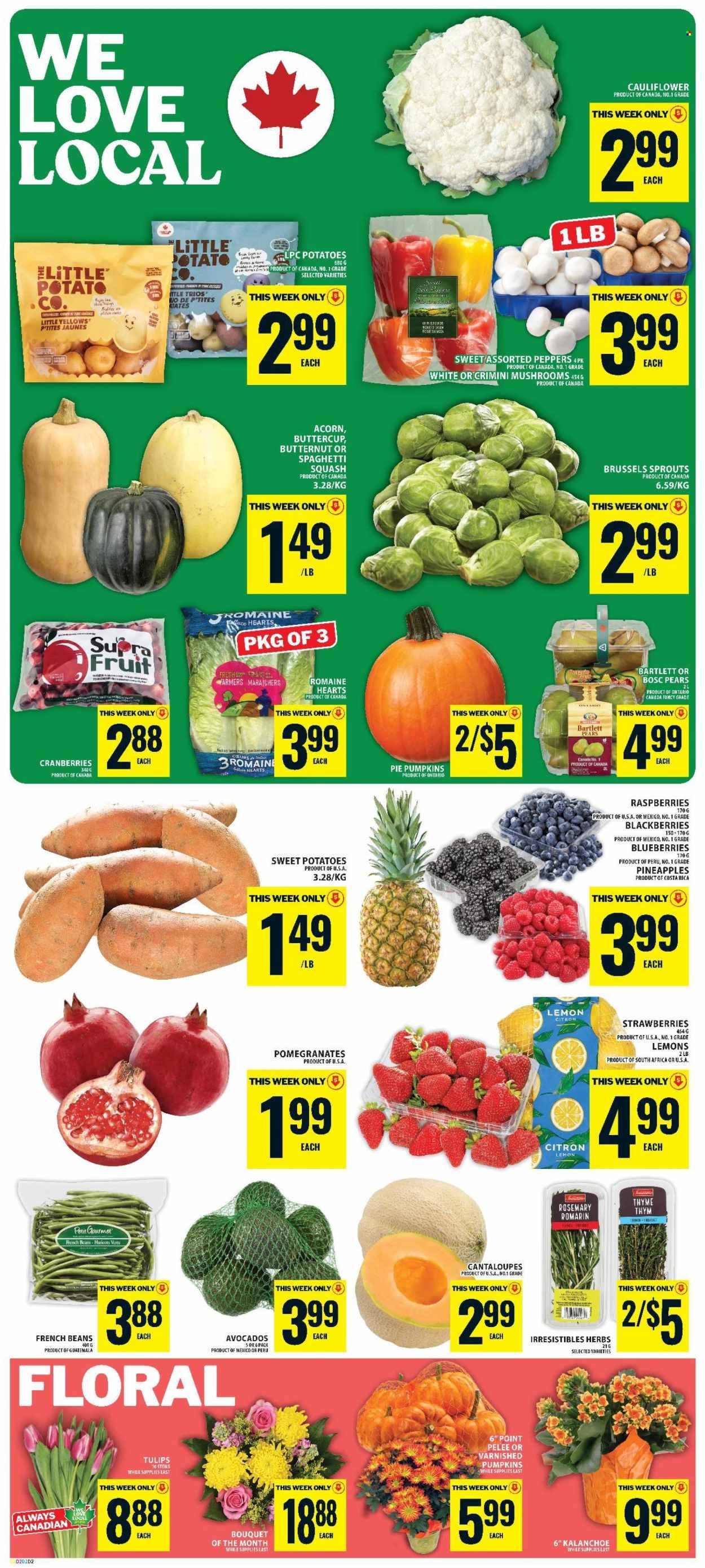 FOOD BASICS flyer - Weekly Flyer