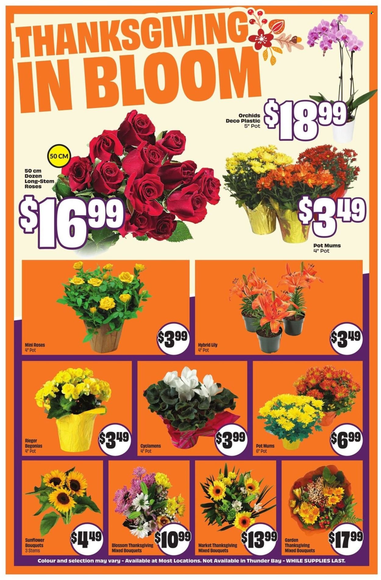 FRESHCO. flyer - Weekly eFlyer