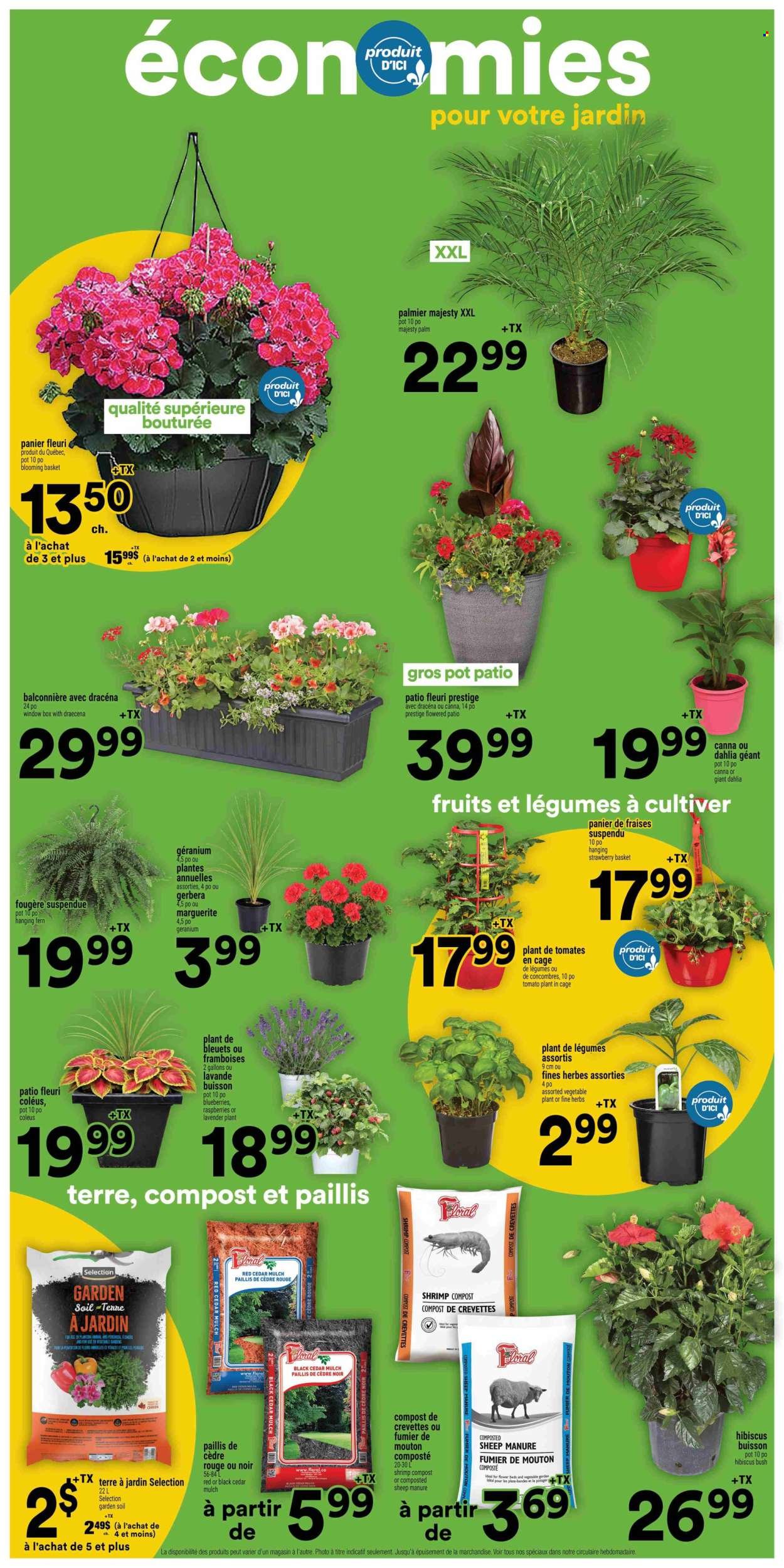 SUPER C flyer - Weekly Flyer