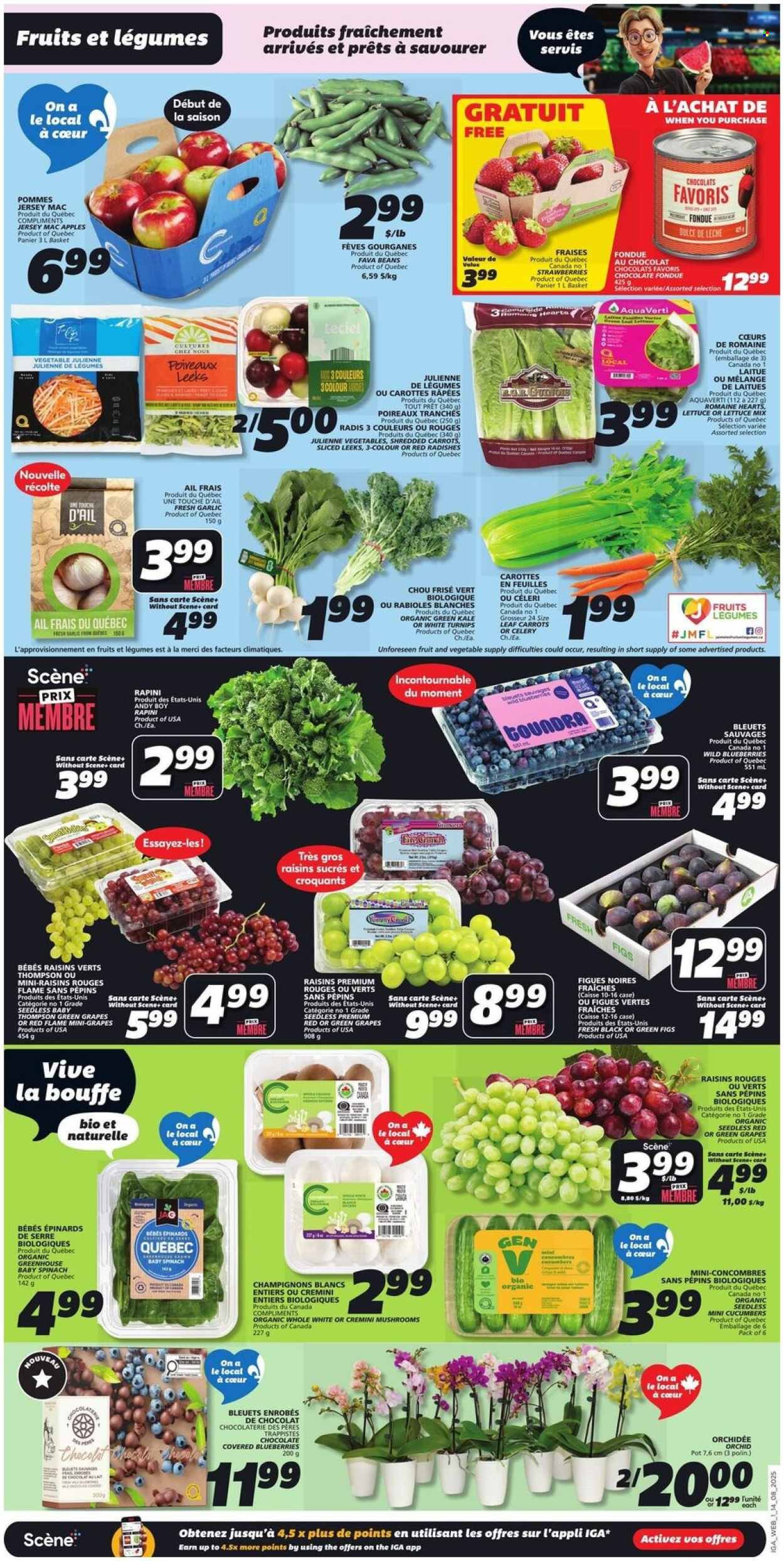 IGA flyer - Weekly eFlyer