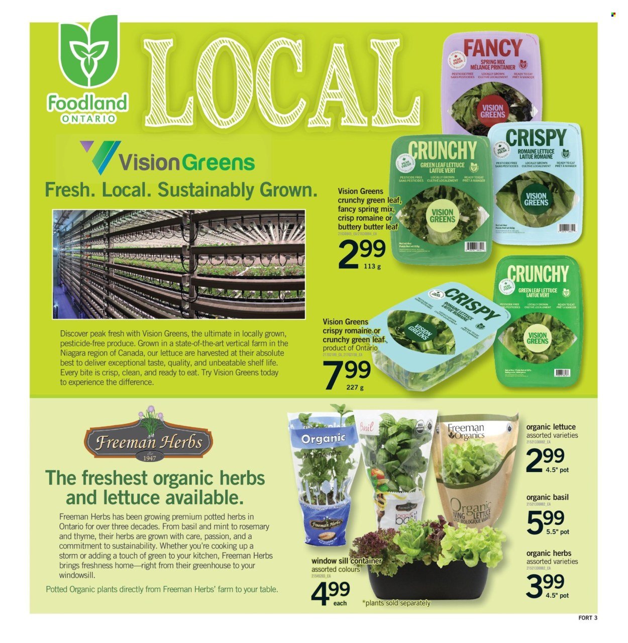 FORTINOS flyer - Weekly Flyer