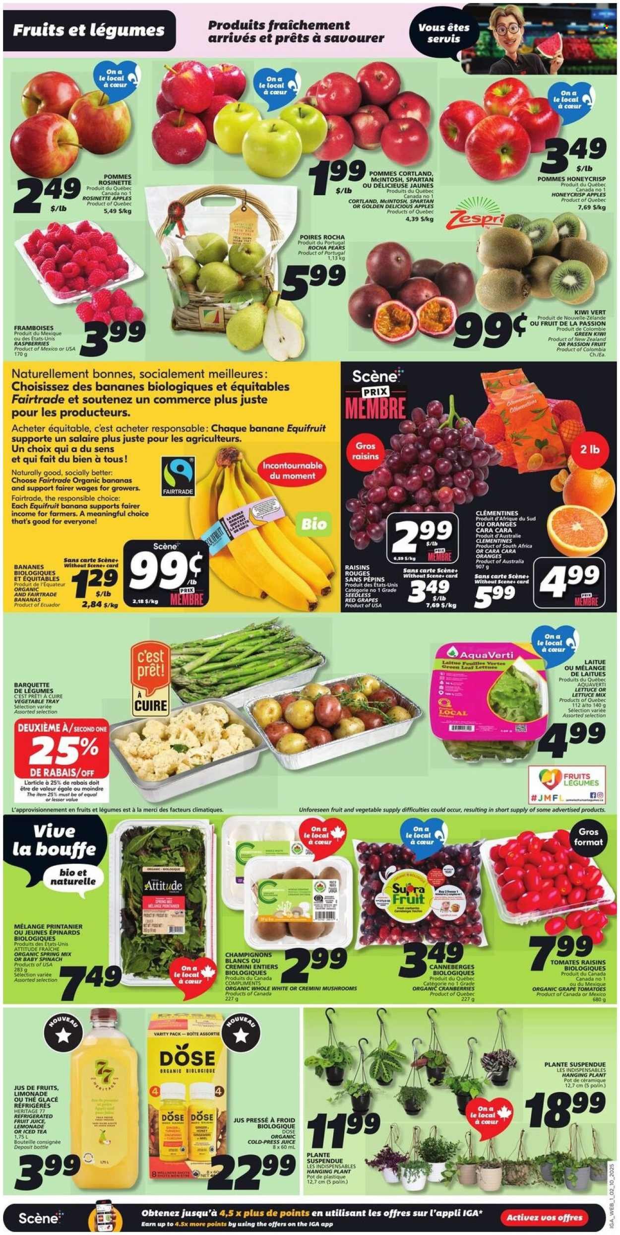IGA flyer - Weekly Flyer