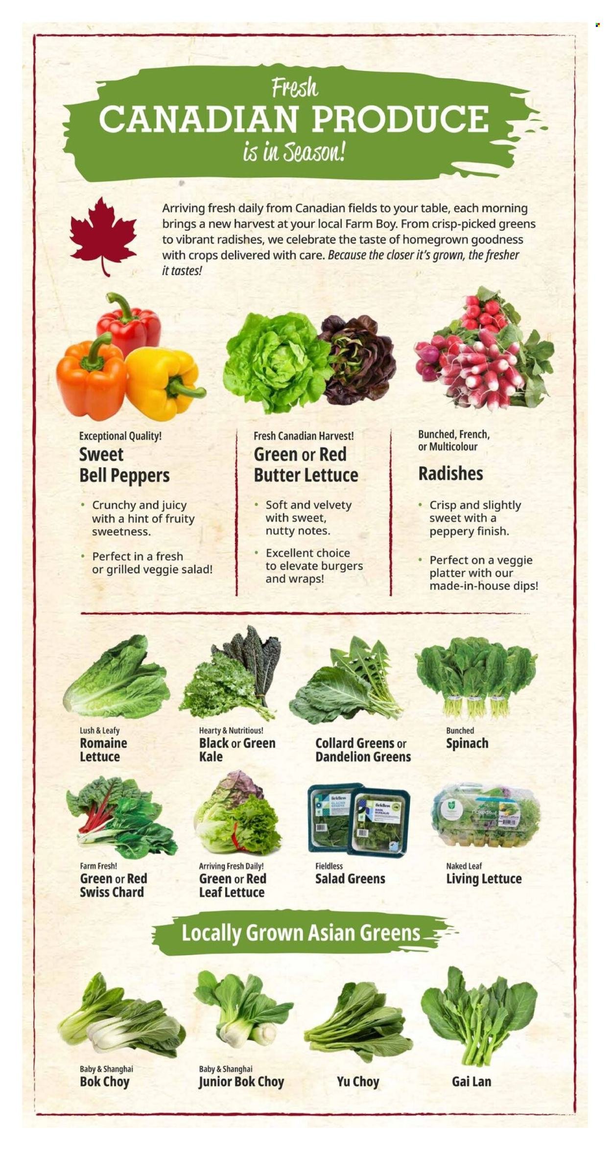 FARM BOY flyer - Weekly Flyer