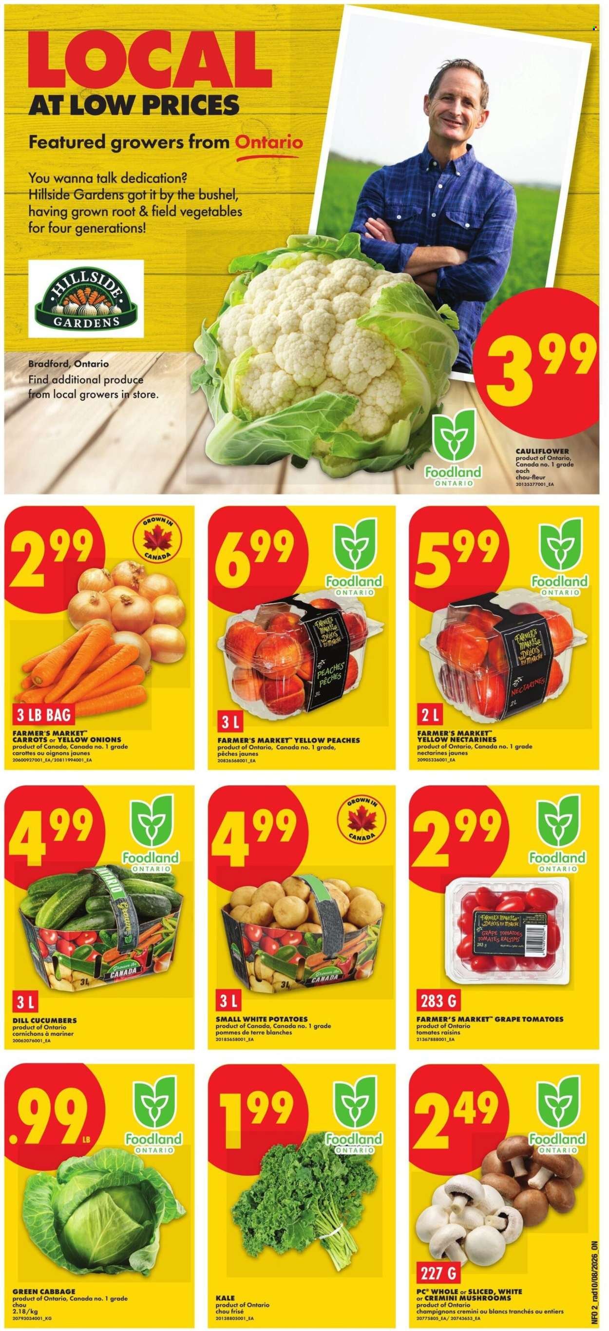 NO FRILLS flyer - Weekly Flyer