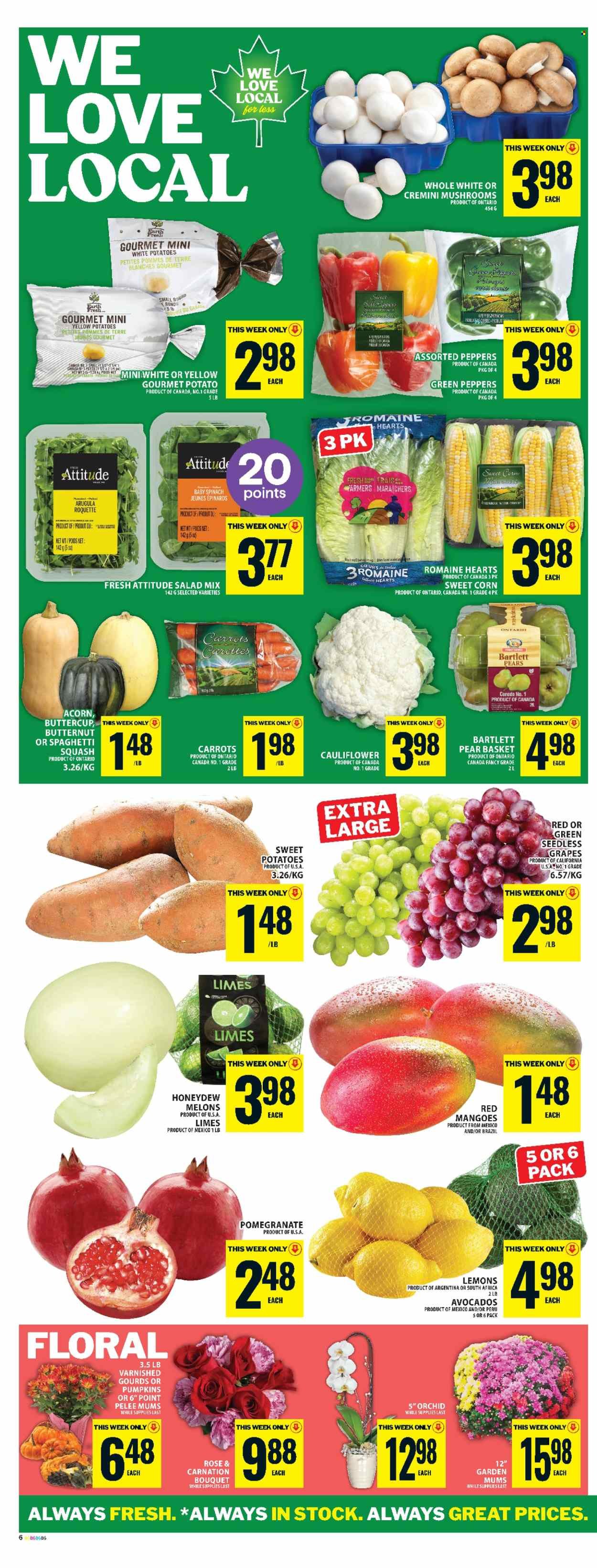FOOD BASICS flyer - Weekly Flyer
