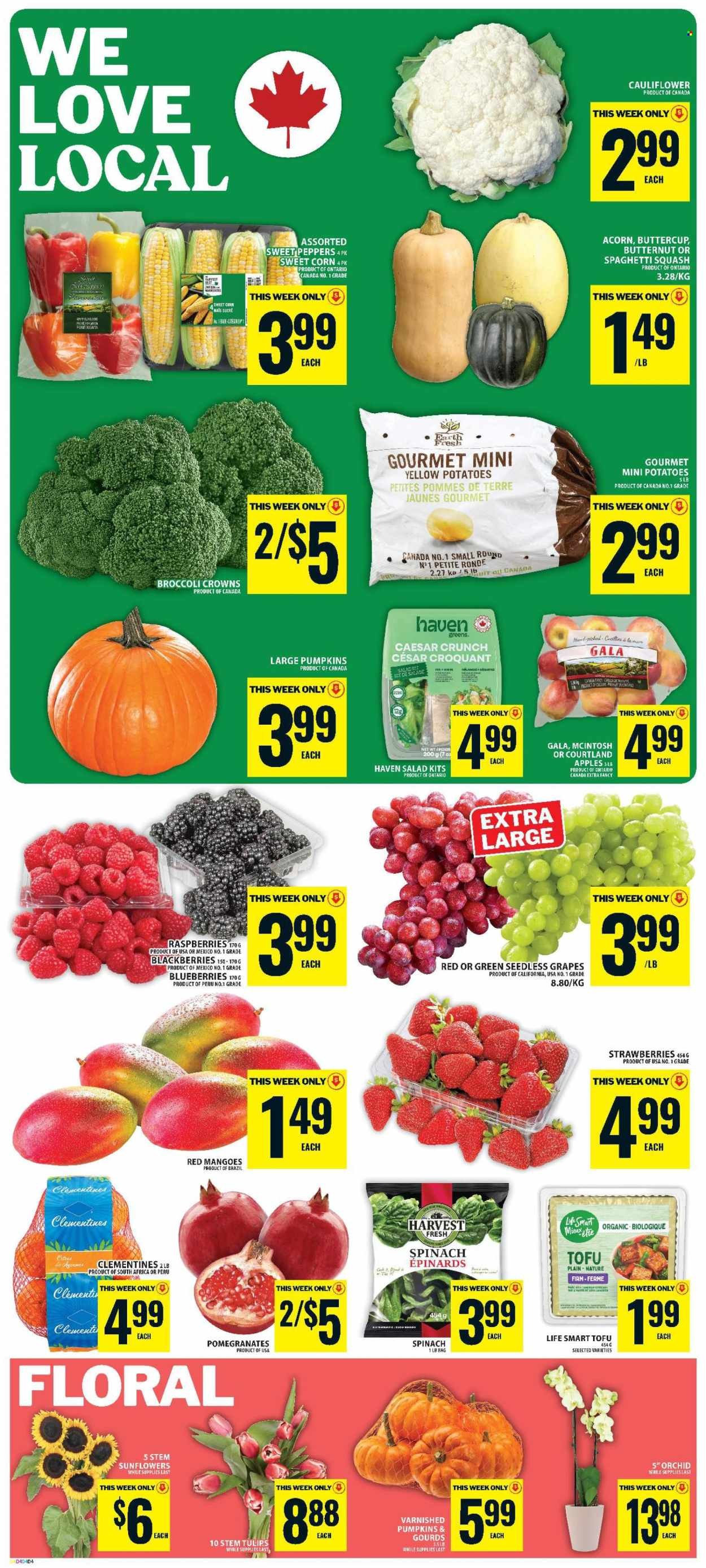 FOOD BASICS flyer - Weekly Flyer