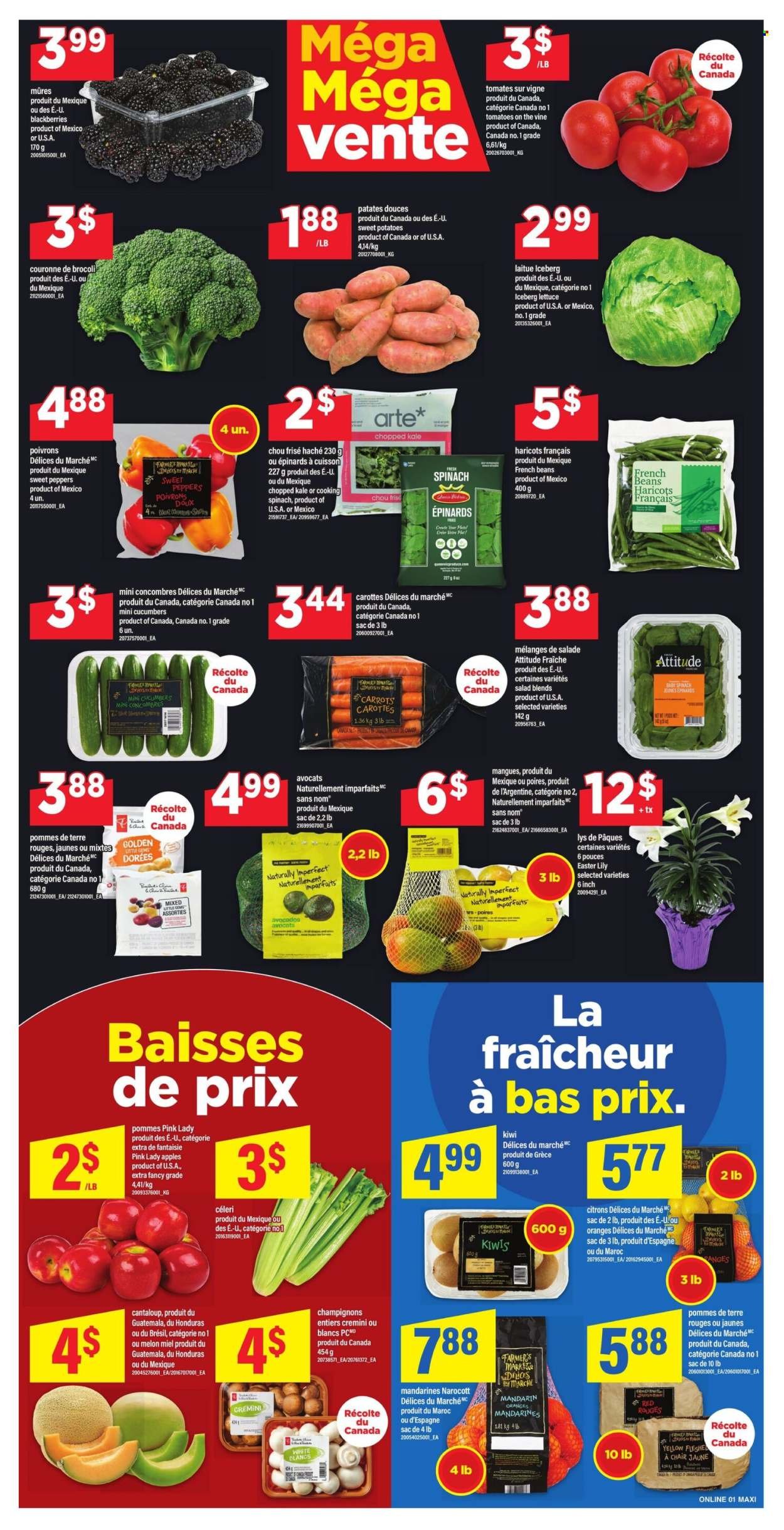 MAXI flyer - Circulaire hebdomadaire (2026-04-02 - 2026-04-08) | 4