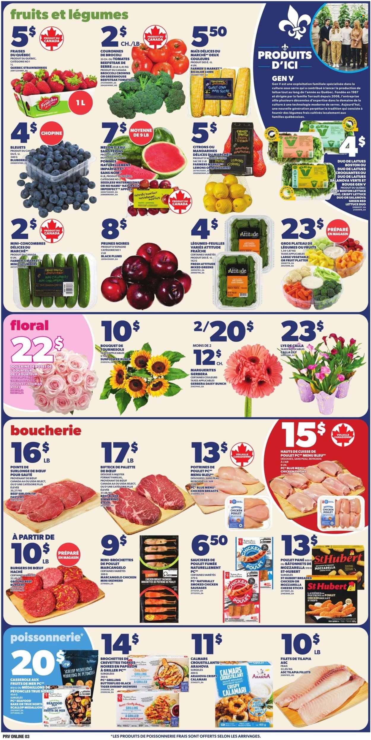 PROVIGO flyer - Circulaire hebdomadaire