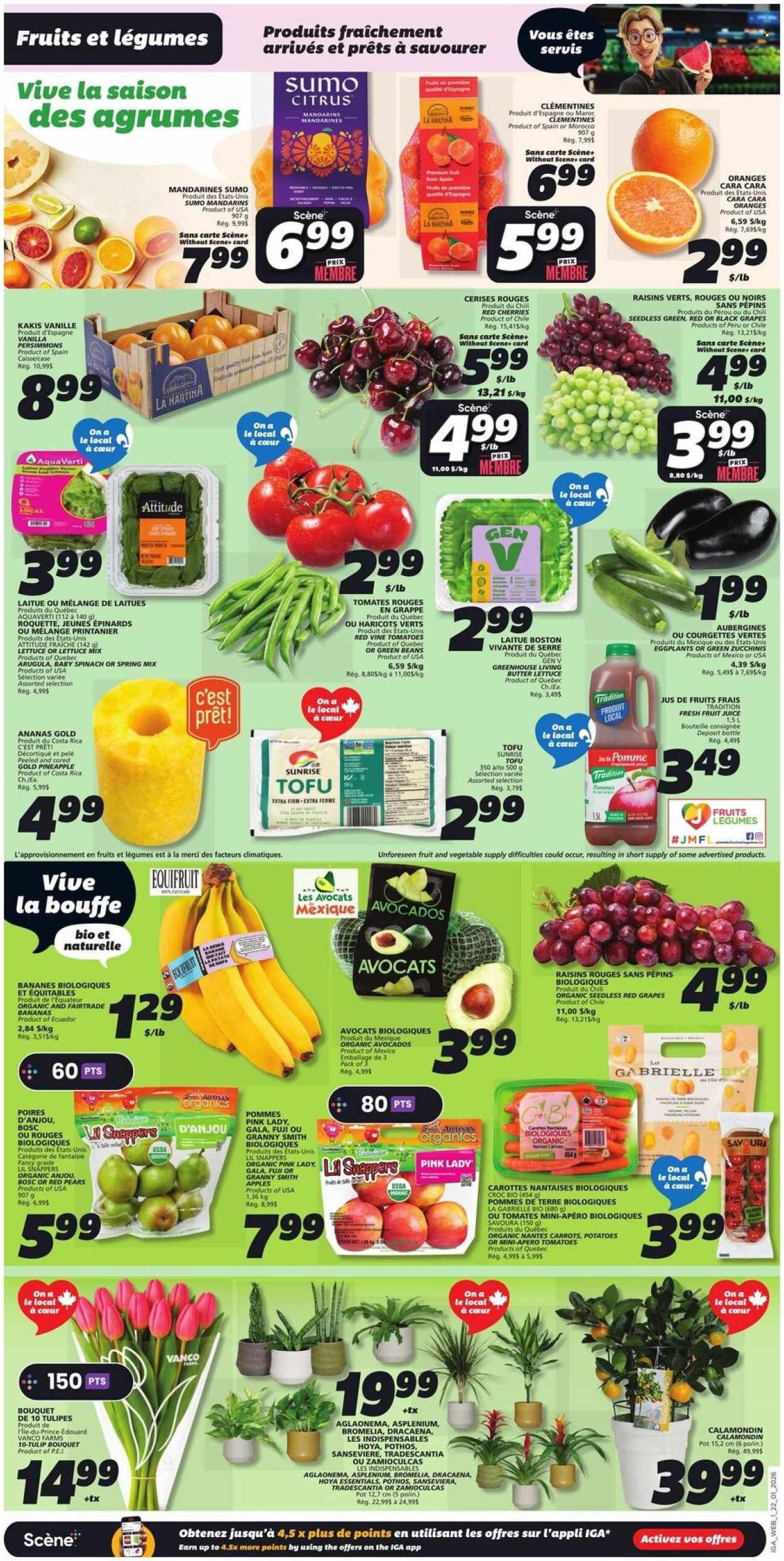 IGA flyer - Weekly eFlyer