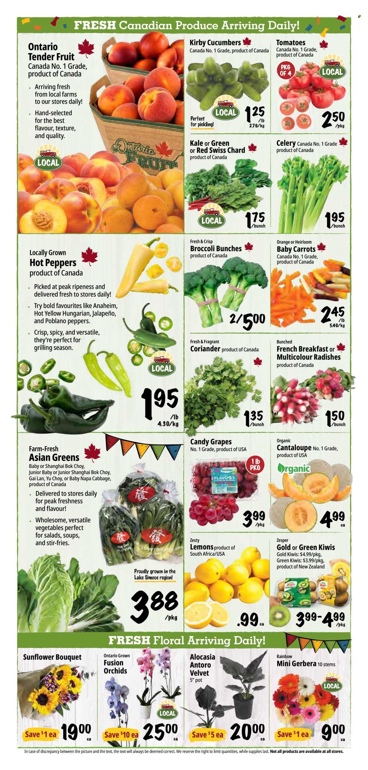 FARM BOY flyer - Weekly Flyer