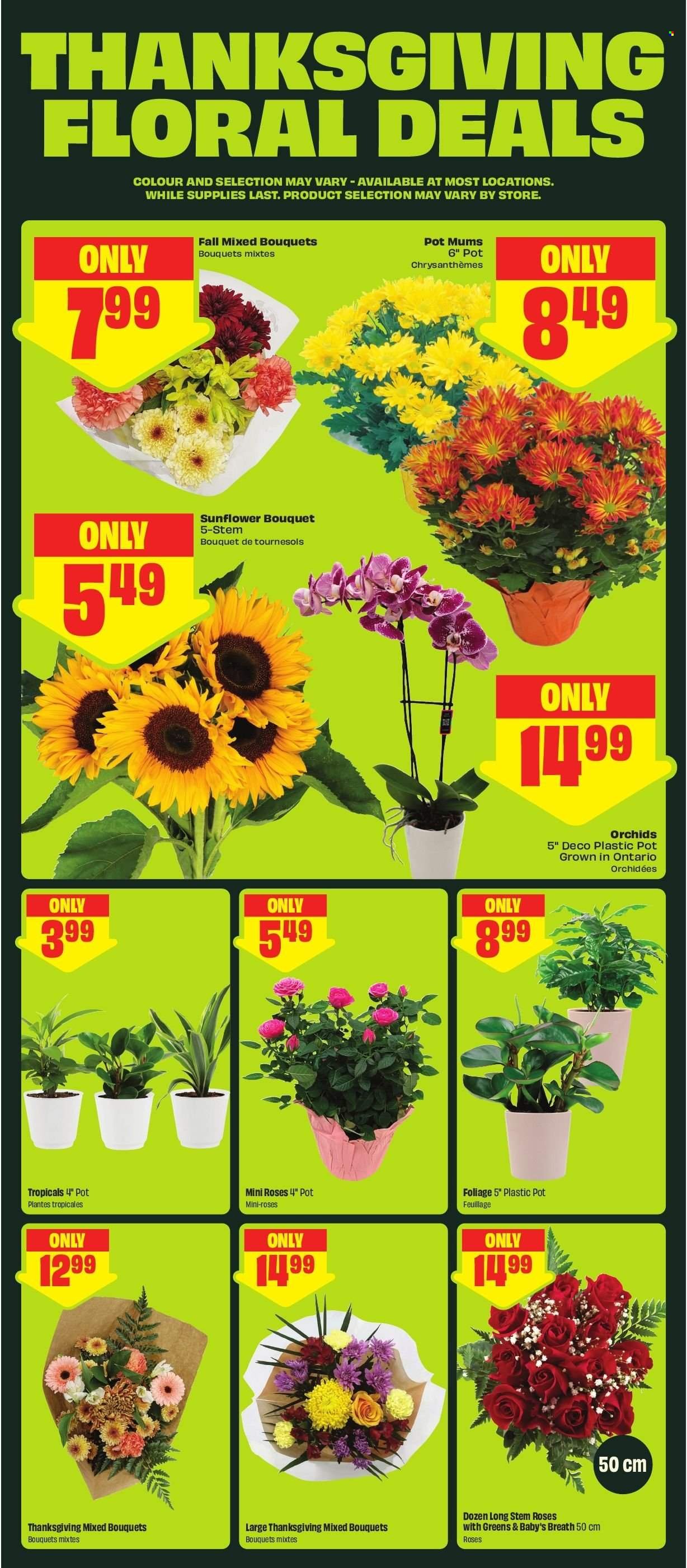 FRESHCO. flyer - Weekly Flyer