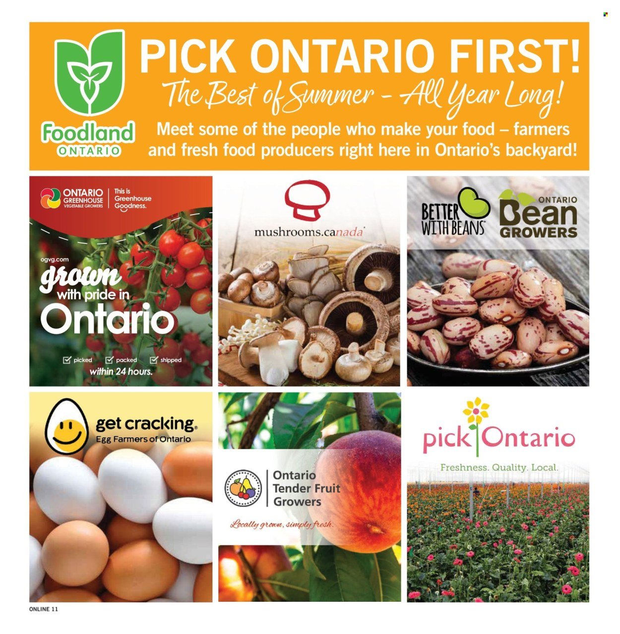 FORTINOS flyer - Weekly Flyer