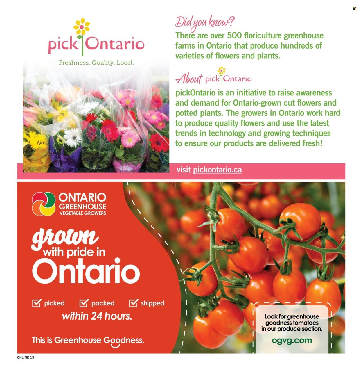 FORTINOS flyer - Weekly Flyer