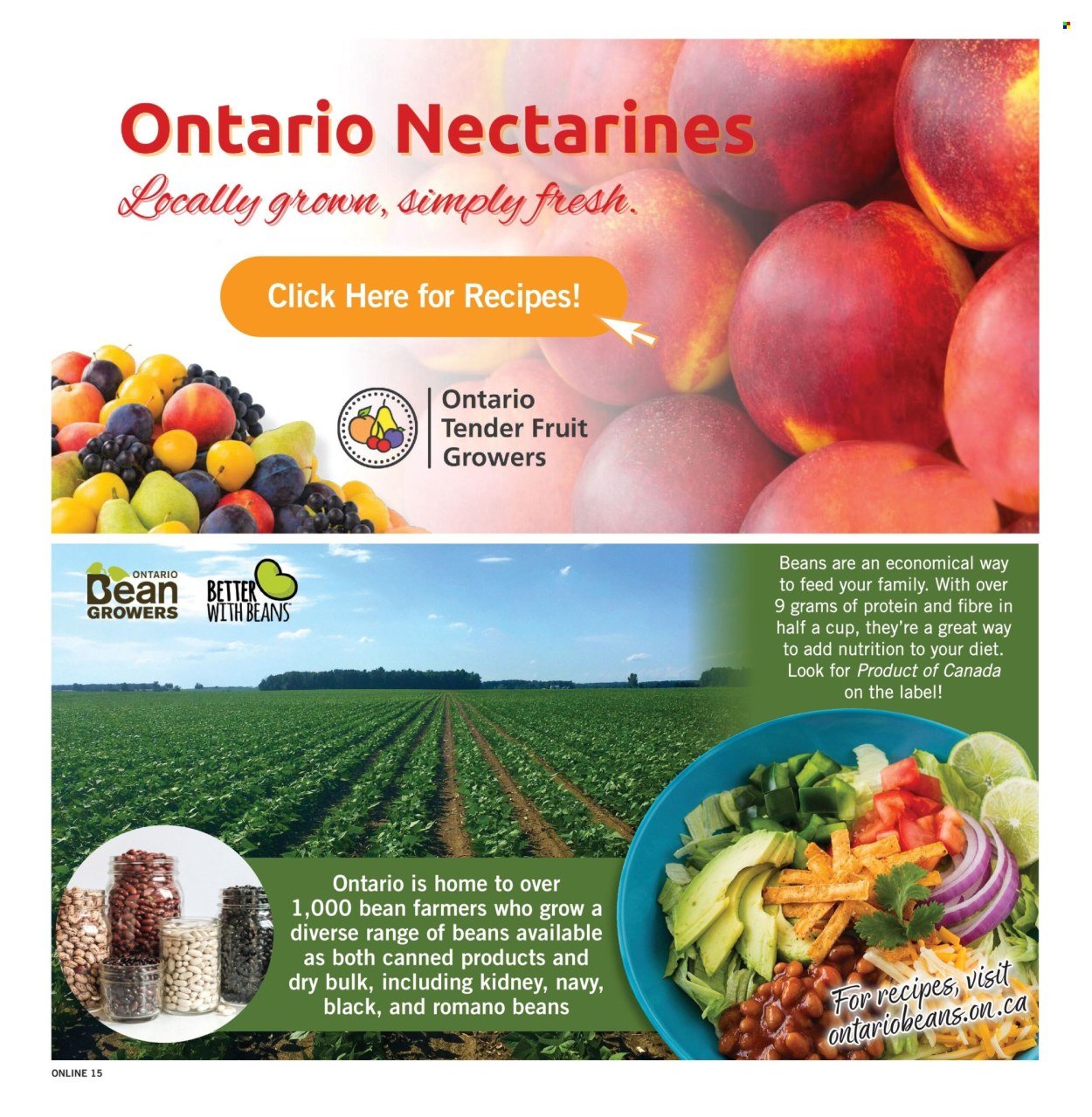 FORTINOS flyer - Weekly Flyer