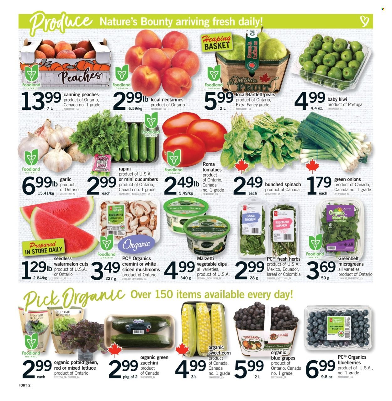 FORTINOS flyer - Weekly Flyer
