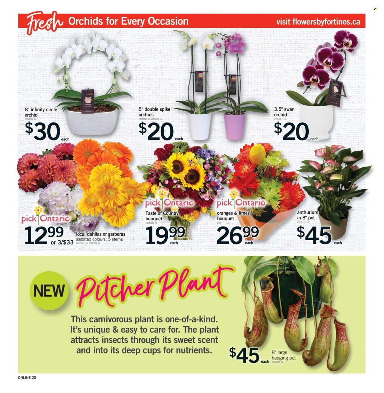 FORTINOS flyer - Weekly Flyer