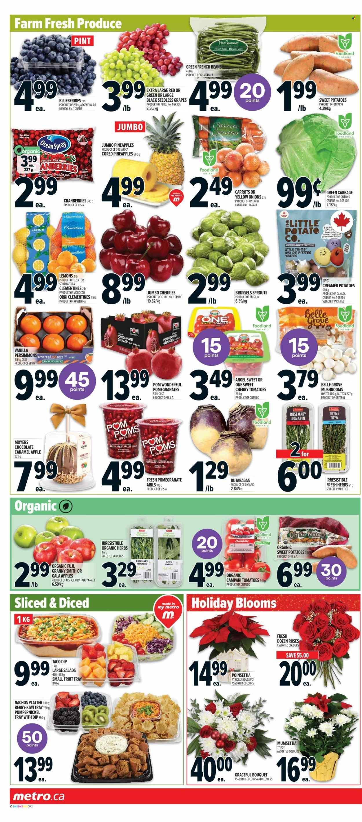 METRO flyer - Weekly Flyer (2025-12-11 - 2025-12-17) | 6