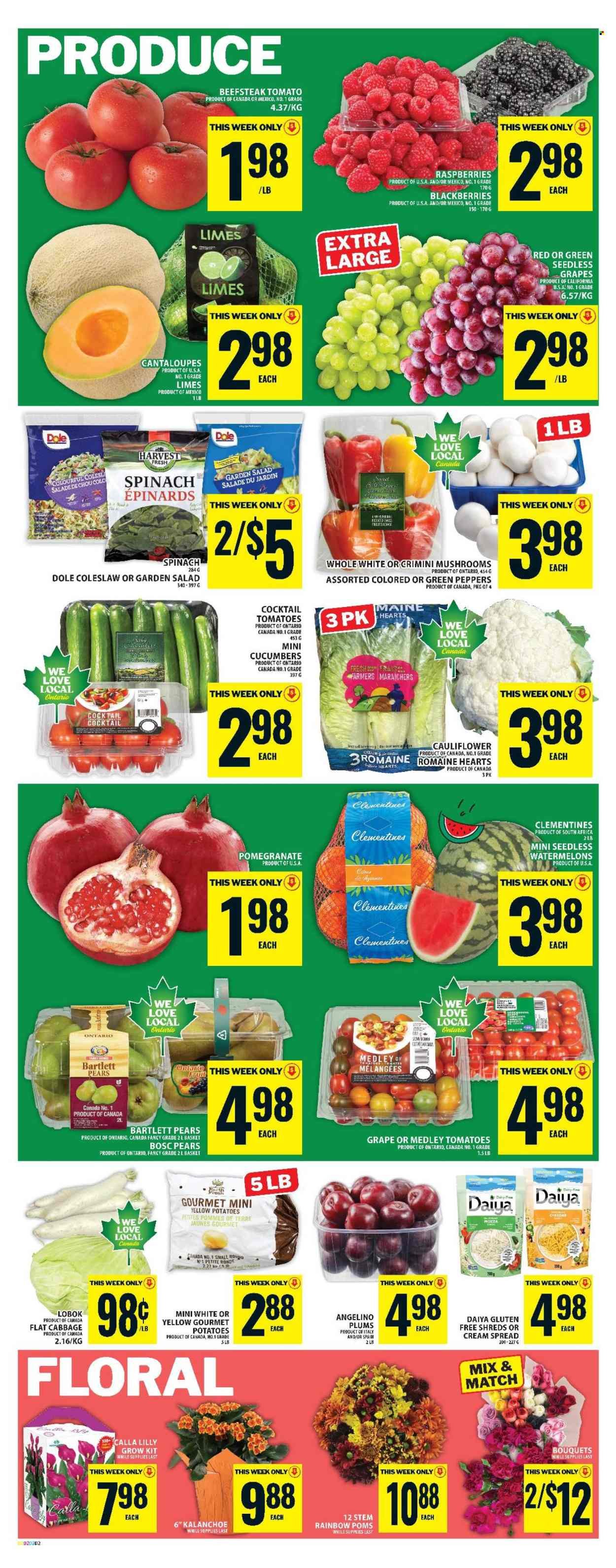 FOOD BASICS flyer - Weekly Flyer