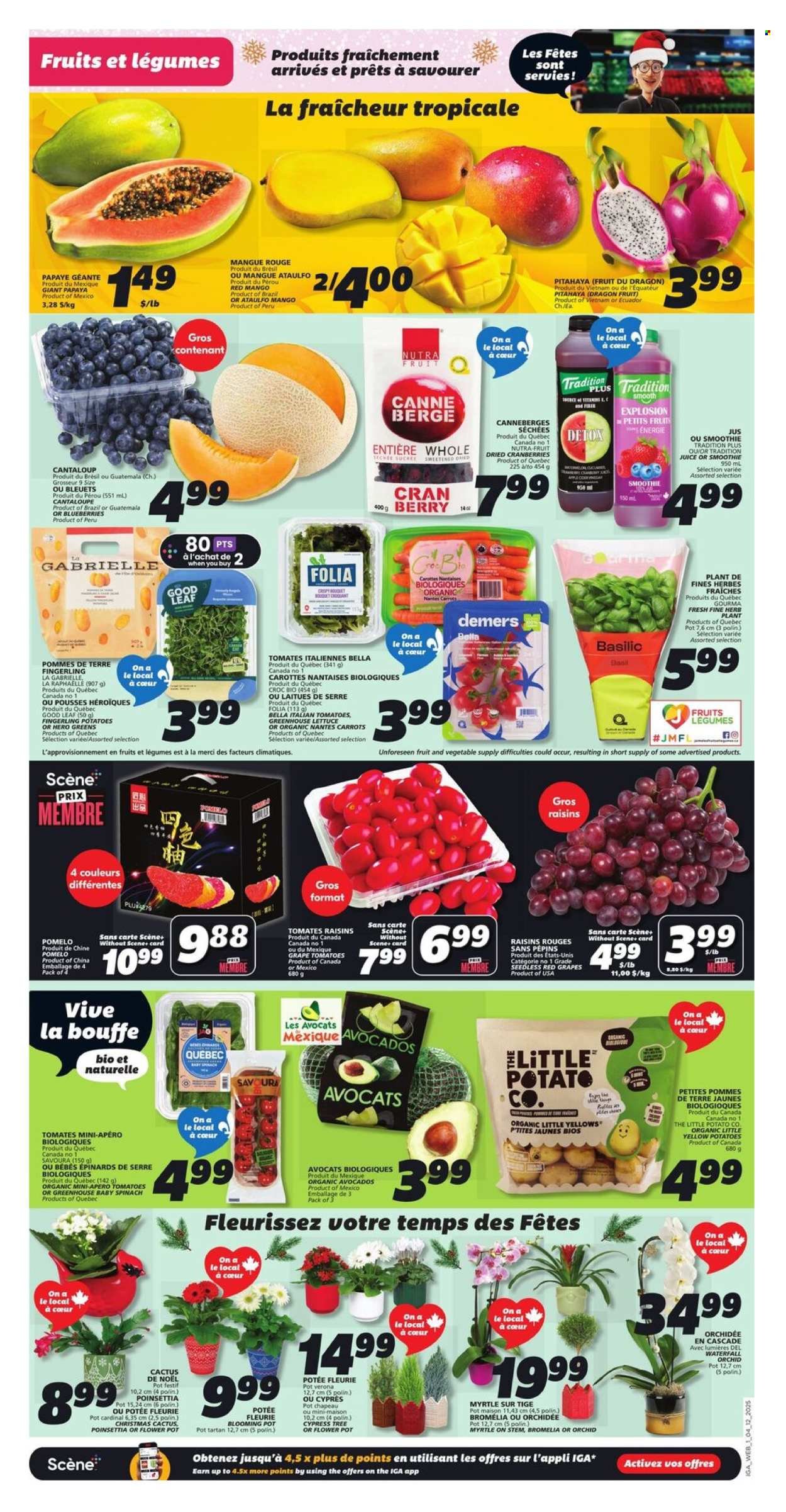 IGA flyer - Weekly eFlyer (2025-12-04 - 2025-12-10) | 3