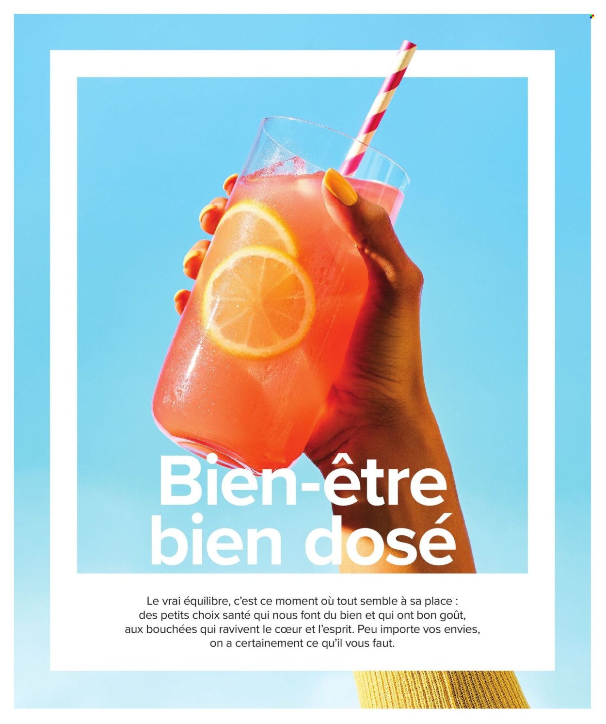 PROVIGO flyer - marchandise générale