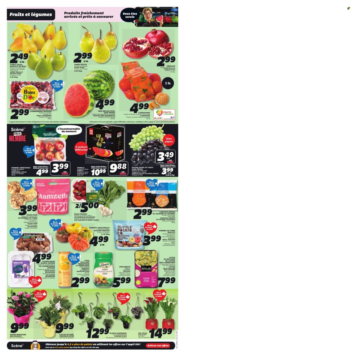 IGA flyer - Weekly eFlyer (2025-10-30 - 2025-11-05) | 3