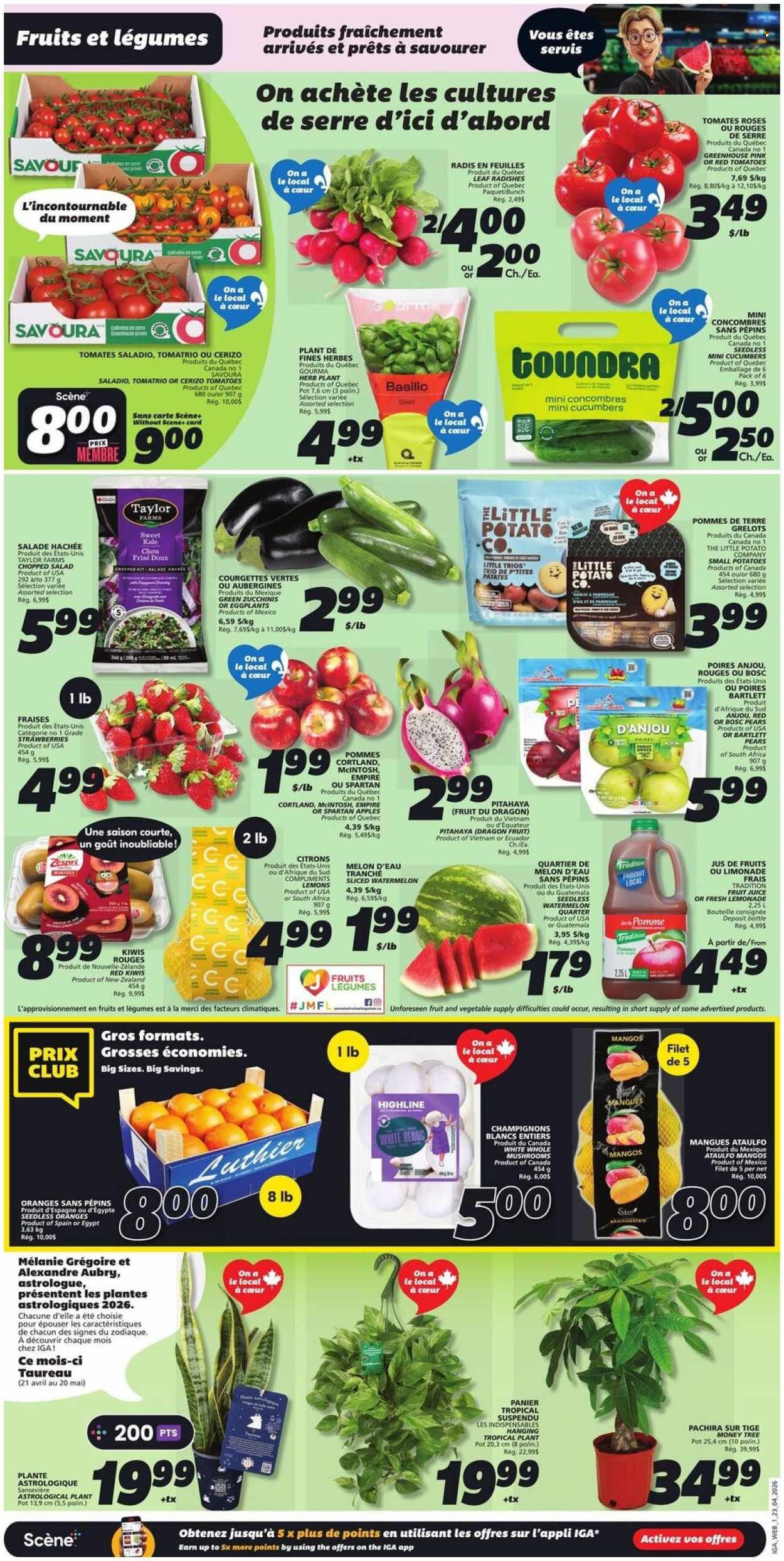 IGA flyer - Weekly eFlyer (2026-04-23 - 2026-04-29) | 3