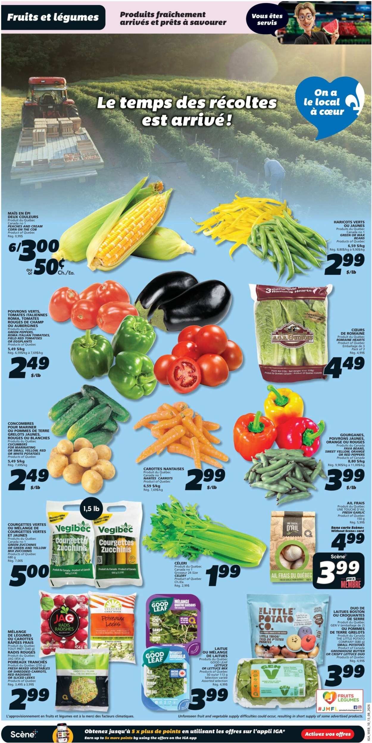 IGA flyer - Weekly eFlyer