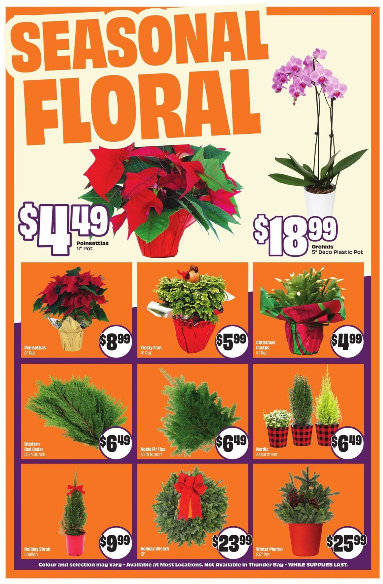 FRESHCO. flyer - Weekly eFlyer