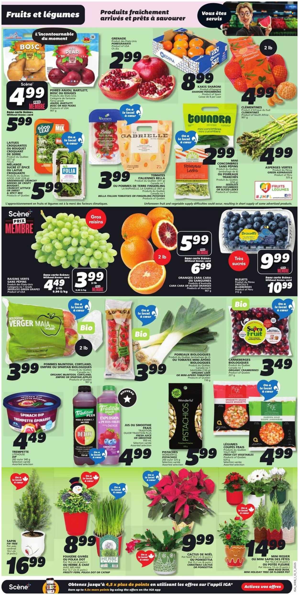 IGA flyer - Weekly eFlyer (2025-11-13 - 2025-11-19) | 3