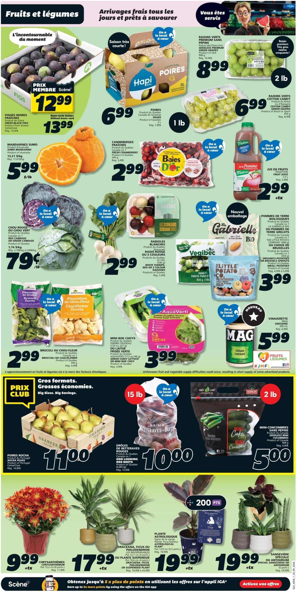 IGA flyer - Weekly eFlyer