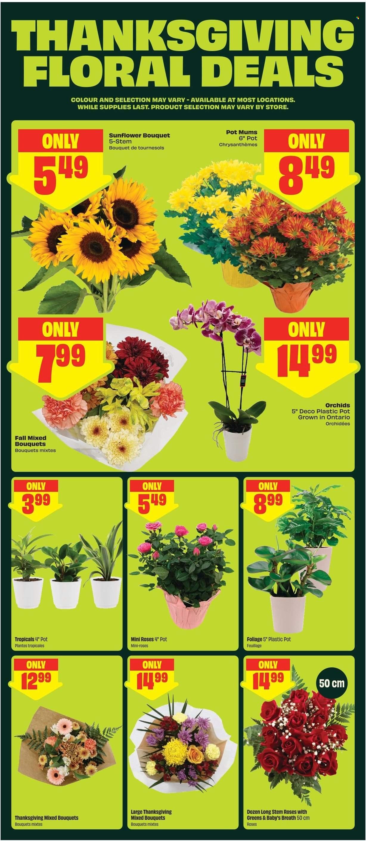 FRESHCO. flyer - Weekly eFlyer