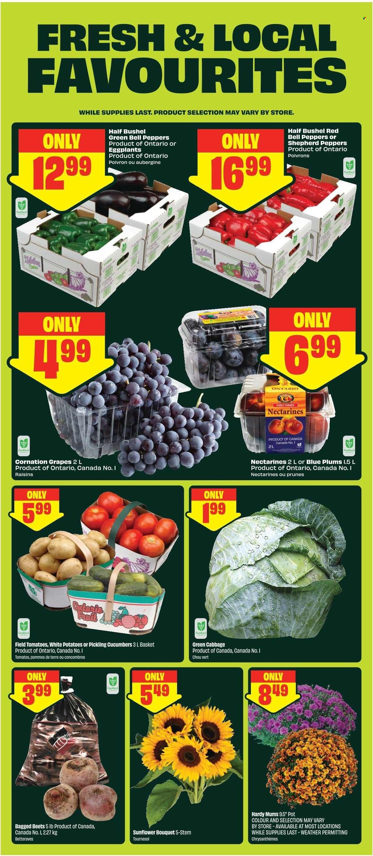 FRESHCO. flyer - Weekly eFlyer