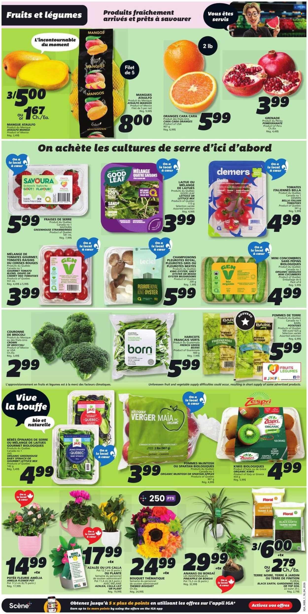 IGA flyer - Weekly eFlyer (2026-04-16 - 2026-04-22) | 3
