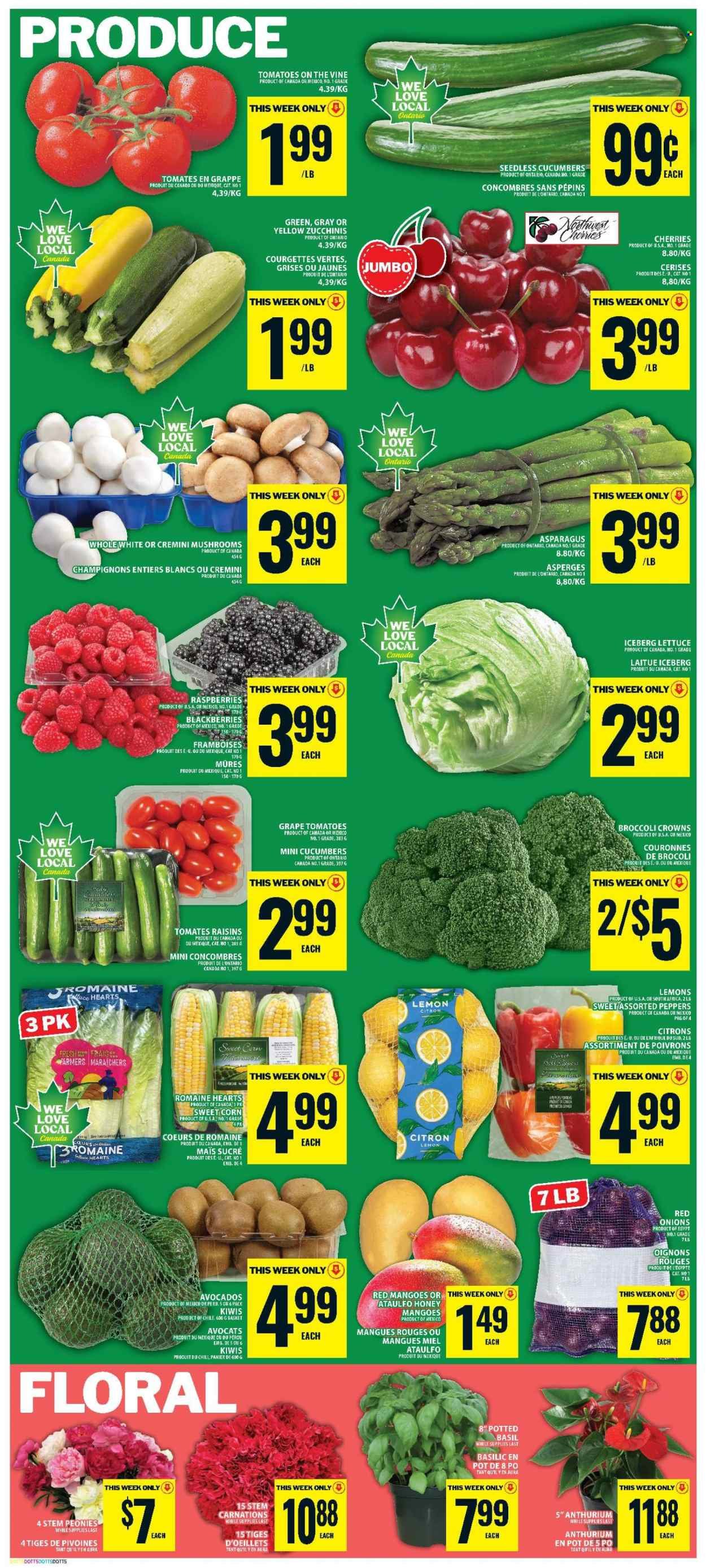 FOOD BASICS flyer - Weekly Flyer