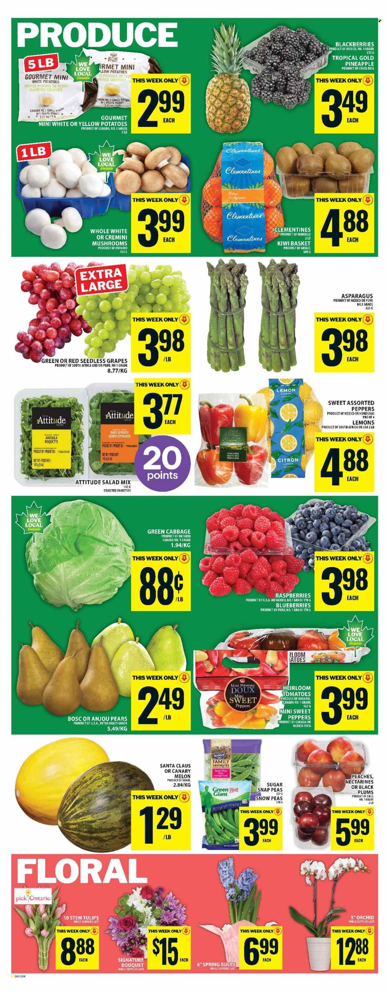 FOOD BASICS flyer - Weekly Flyer