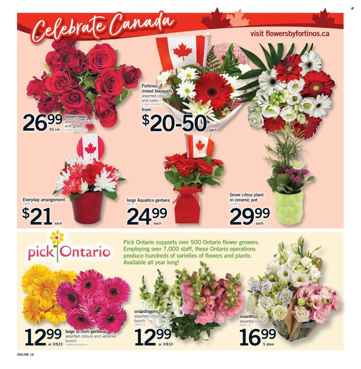 FORTINOS flyer - From Thursday June 25, 2026