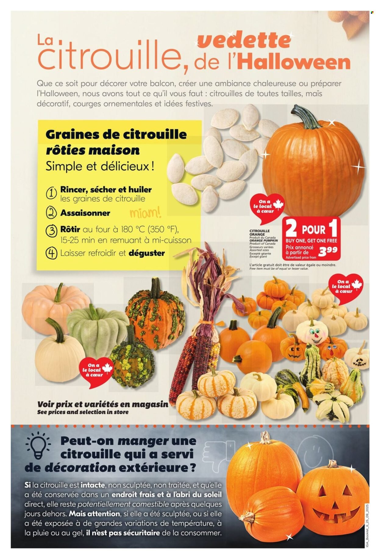 IGA flyer - Autumn - QC