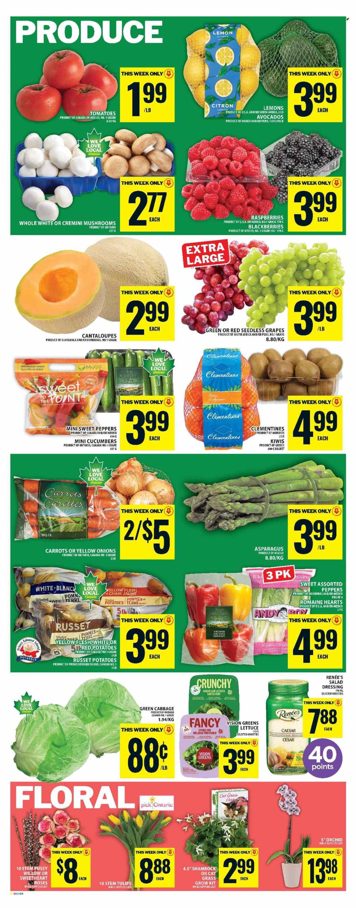 FOOD BASICS flyer - Weekly Flyer (2026-03-12 - 2026-03-18) | 6