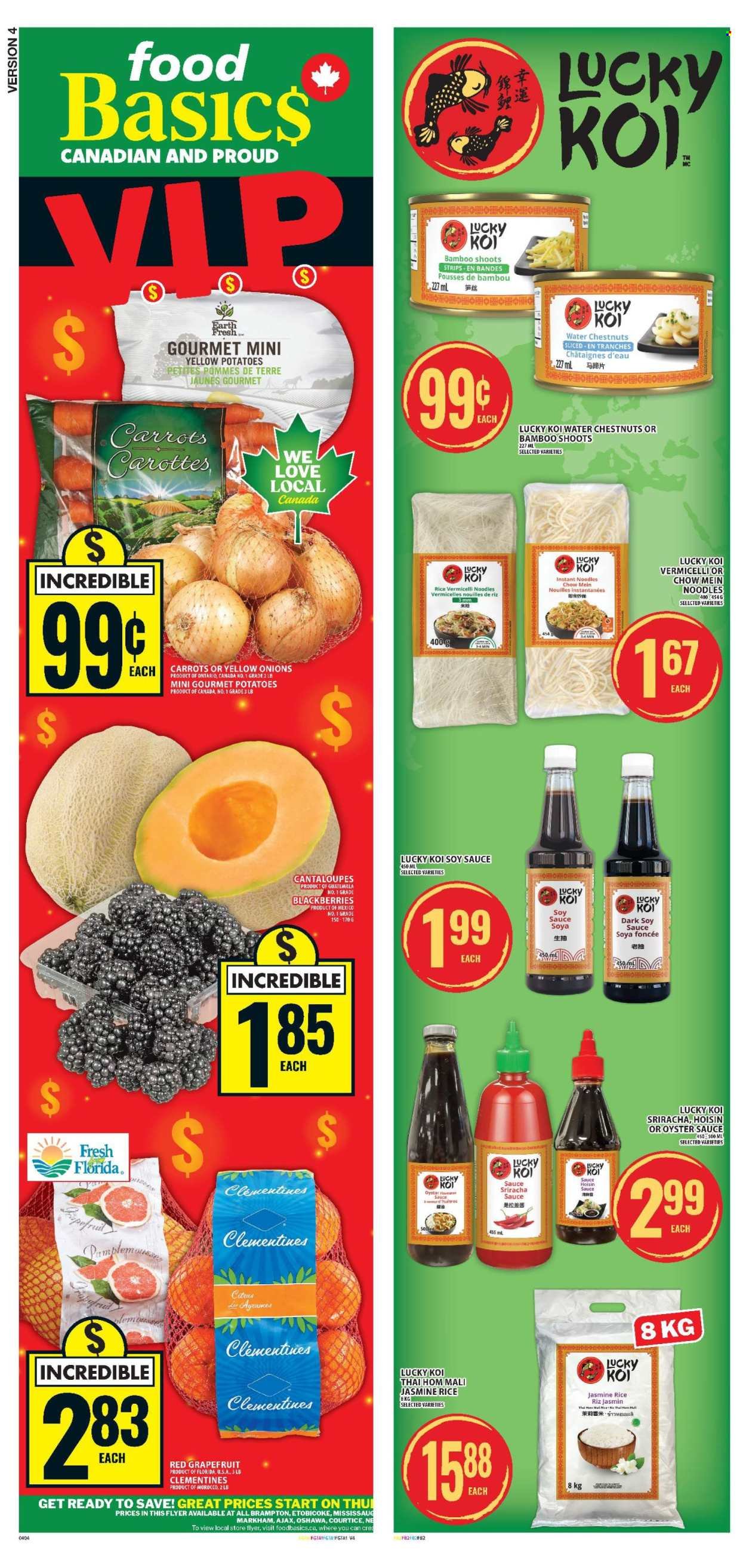 FOOD BASICS flyer - Weekly Flyer (2026-01-08 - 2026-01-14) | 2