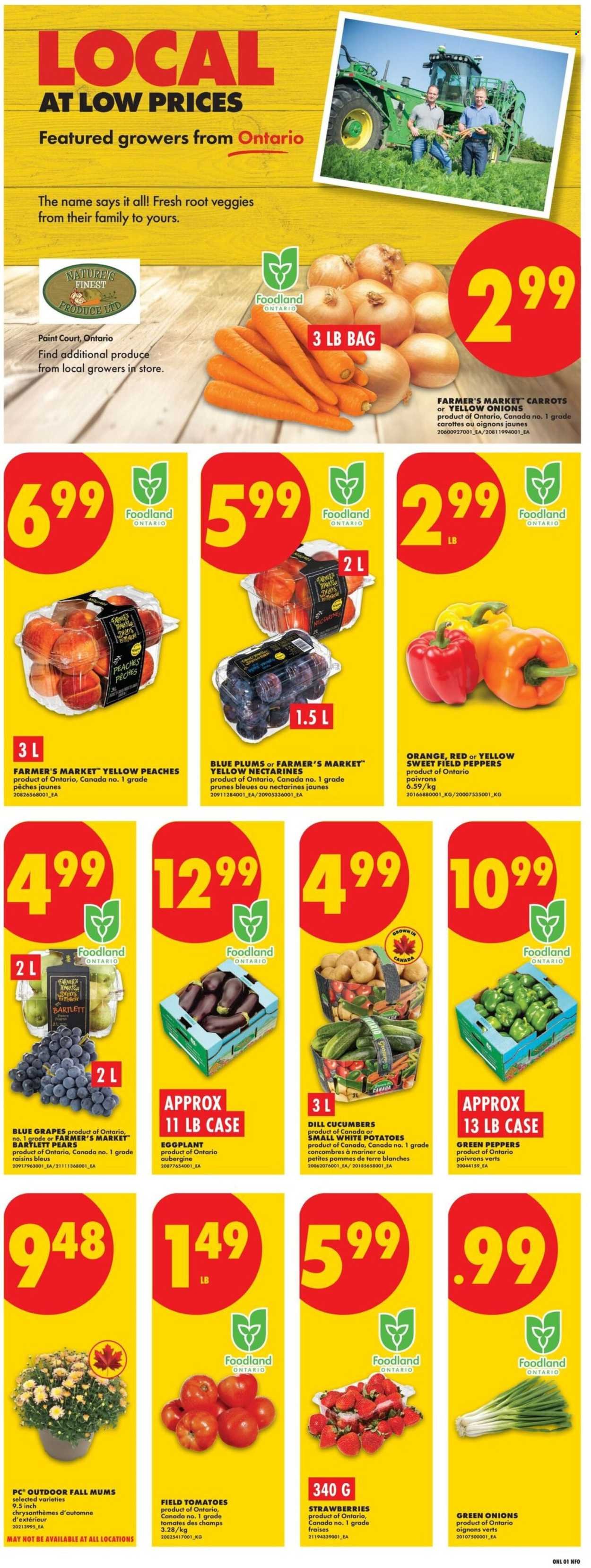 NO FRILLS flyer - Weekly Flyer
