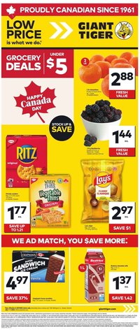 GIANT TIGER flyer - Weekly Flyer