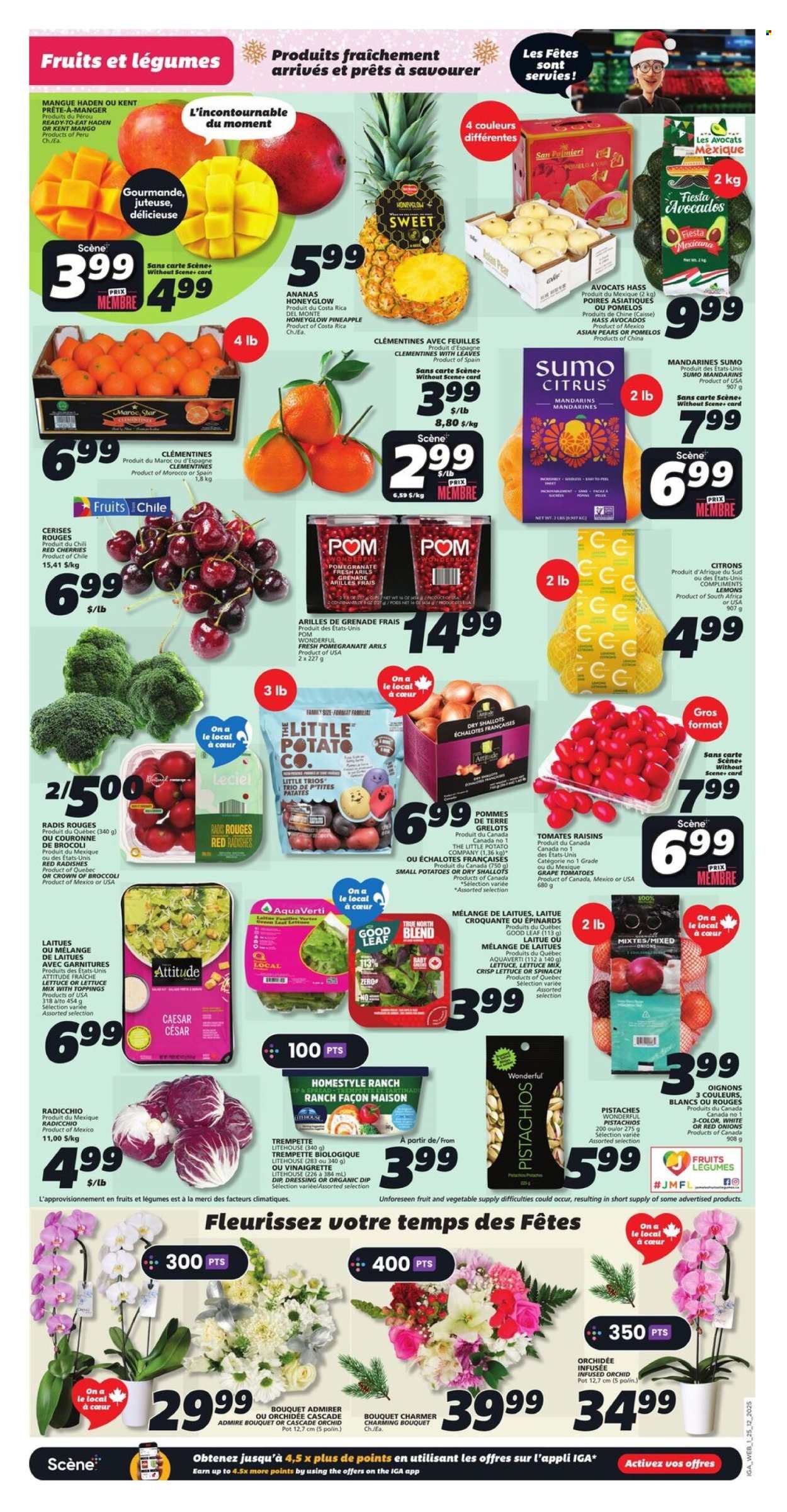 IGA flyer - Weekly eFlyer (2025-12-25 - 2025-12-31) | 3