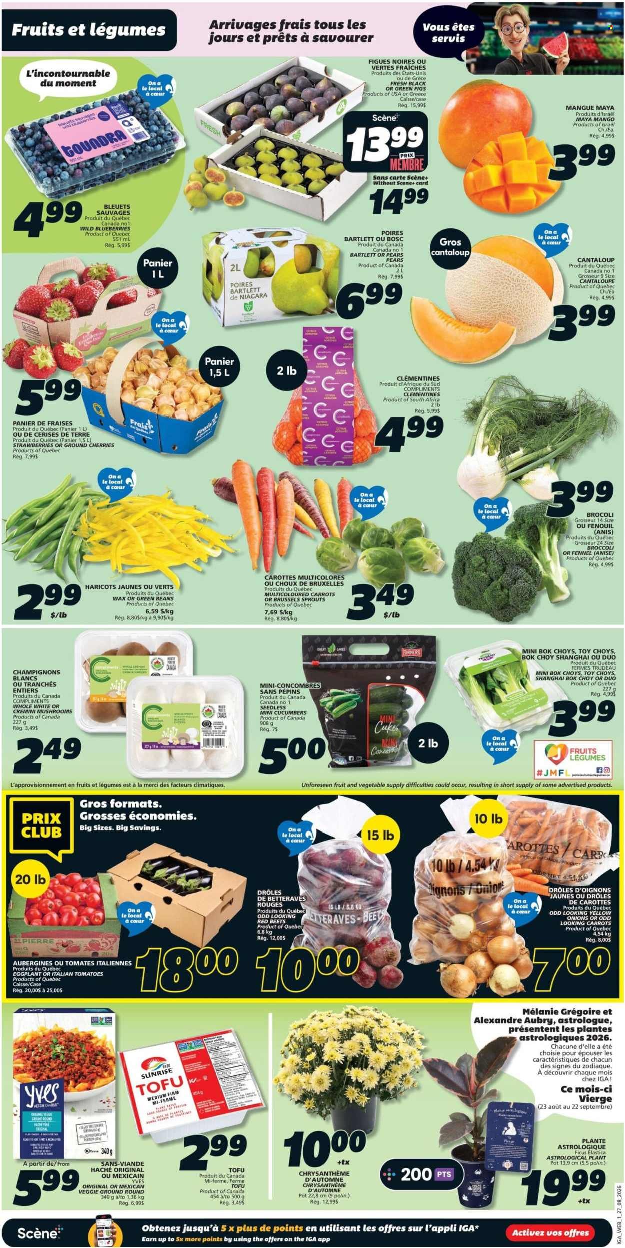 IGA flyer - Weekly eFlyer